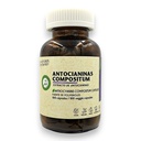 ANTOCIANINA COMPOSITUM 100 CAP - AVANTARI