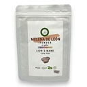MELENA DE LEON EN POLVO 100G - AVANTARI