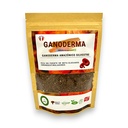 GANODERMA SILVESTRE AMAZONICA 100G - AVANTARI